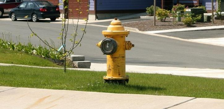 Hydrants, Valves & More